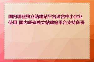 国内哪些独立站建站平台适合中小企业使用_国内哪些独立站建站平台支持多语言