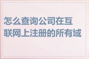 怎么查询公司在互联网上注册的所有域名