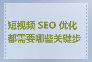 短视频 SEO 优化都需要哪些关键步骤