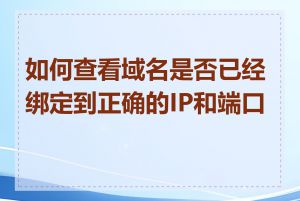 如何查看域名是否已经绑定到正确的IP和端口号