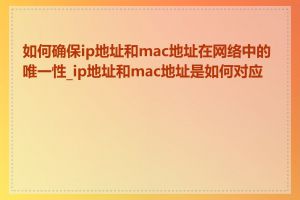 如何确保ip地址和mac地址在网络中的唯一性_ip地址和mac地址是如何对应的