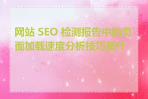 网站 SEO 检测报告中的页面加载速度分析技巧是什么