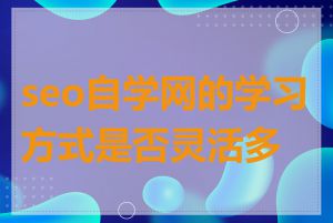 seo自学网的学习方式是否灵活多样