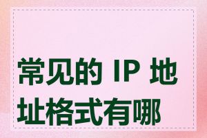 常见的 IP 地址格式有哪些