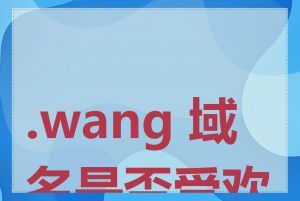 .wang 域名是否受欢迎