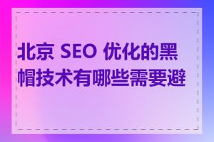 北京 SEO 优化的黑帽技术有哪些需要避免