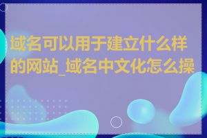 域名可以用于建立什么样的网站_域名中文化怎么操作