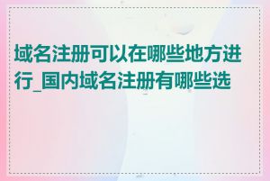 域名注册可以在哪些地方进行_国内域名注册有哪些选择