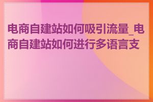 电商自建站如何吸引流量_电商自建站如何进行多语言支持