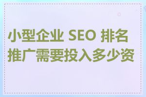 小型企业 SEO 排名推广需要投入多少资金