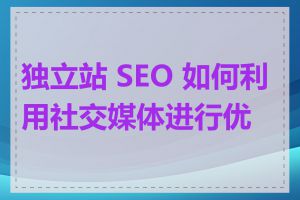 独立站 SEO 如何利用社交媒体进行优化