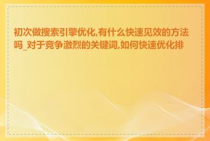 初次做搜索引擎优化,有什么快速见效的方法吗_对于竞争激烈的关键词,如何快速优化排名