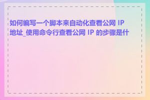 如何编写一个脚本来自动化查看公网 IP 地址_使用命令行查看公网 IP 的步骤是什么