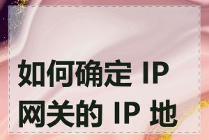 如何确定 IP 网关的 IP 地址