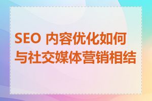 SEO 内容优化如何与社交媒体营销相结合