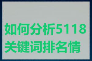 如何分析5118关键词排名情况