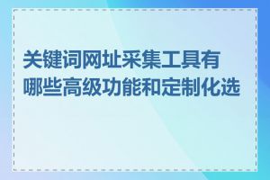 关键词网址采集工具有哪些高级功能和定制化选项