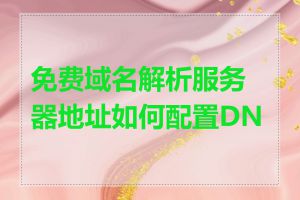 免费域名解析服务器地址如何配置DNS