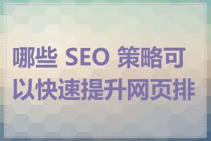 哪些 SEO 策略可以快速提升网页排名