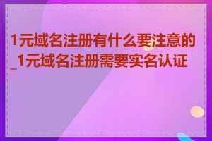 1元域名注册有什么要注意的_1元域名注册需要实名认证吗