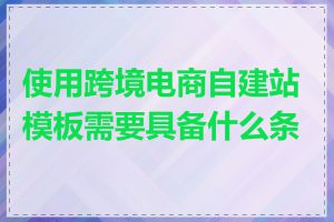 使用跨境电商自建站模板需要具备什么条件