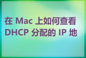 在 Mac 上如何查看 DHCP 分配的 IP 地址