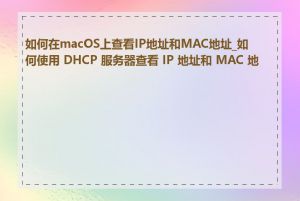 如何在macOS上查看IP地址和MAC地址_如何使用 DHCP 服务器查看 IP 地址和 MAC 地址