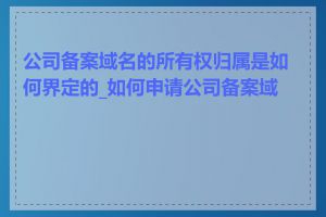 公司备案域名的所有权归属是如何界定的_如何申请公司备案域名