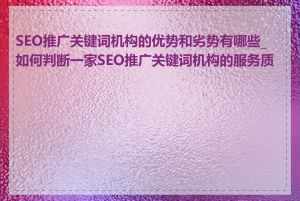 SEO推广关键词机构的优势和劣势有哪些_如何判断一家SEO推广关键词机构的服务质量