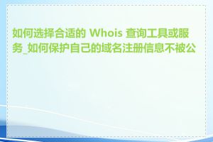 如何选择合适的 Whois 查询工具或服务_如何保护自己的域名注册信息不被公开