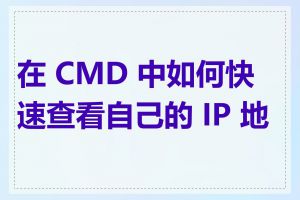 在 CMD 中如何快速查看自己的 IP 地址