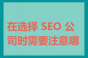 在选择 SEO 公司时需要注意哪些