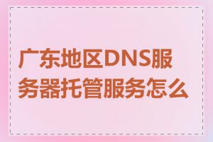 广东地区DNS服务器托管服务怎么样