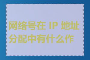 网络号在 IP 地址分配中有什么作用