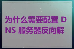 为什么需要配置 DNS 服务器反向解析