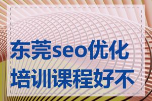 东莞seo优化培训课程好不好