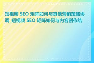 短视频 SEO 矩阵如何与其他营销策略协调_短视频 SEO 矩阵如何与内容创作结合