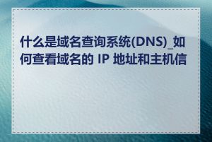 什么是域名查询系统(DNS)_如何查看域名的 IP 地址和主机信息