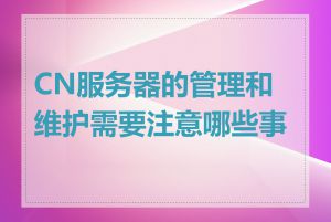 CN服务器的管理和维护需要注意哪些事项