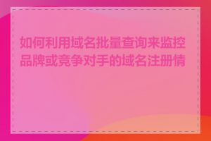 如何利用域名批量查询来监控品牌或竞争对手的域名注册情况