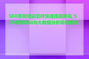 SEO系统培训怎样快速提高排名_SEO系统培训与大数据分析培训的结合