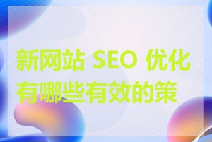 新网站 SEO 优化有哪些有效的策略