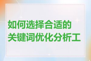 如何选择合适的关键词优化分析工具