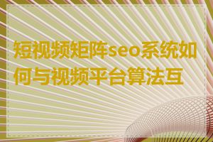 短视频矩阵seo系统如何与视频平台算法互动