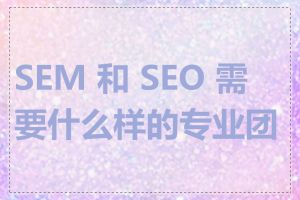 SEM 和 SEO 需要什么样的专业团队