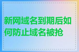 新网域名到期后如何防止域名被抢注