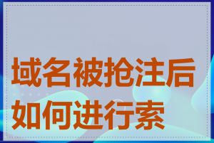 域名被抢注后如何进行索赔