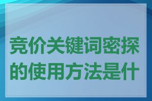 竞价关键词密探的使用方法是什么