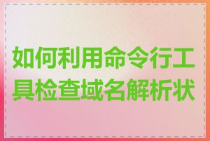 如何利用命令行工具检查域名解析状态