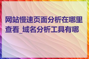 网站慢速页面分析在哪里查看_域名分析工具有哪些